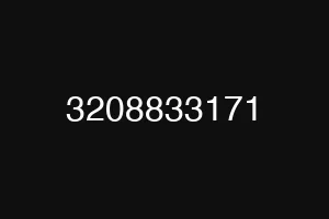 3208833171