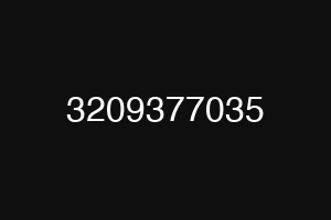 3209377035