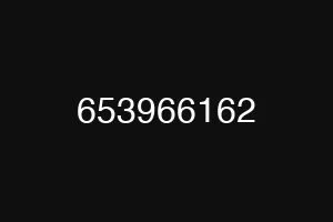 653966162