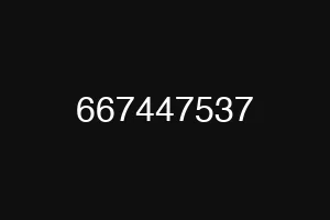 667447537
