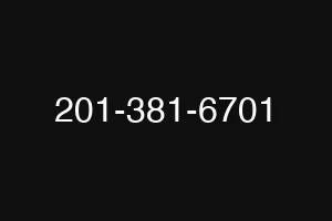 201-381-6701