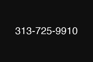 313-725-9910