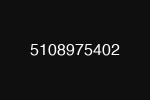 5108975402