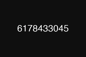 6178433045