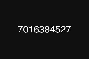 7016384527