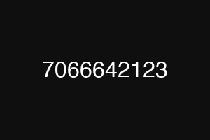 7066642123
