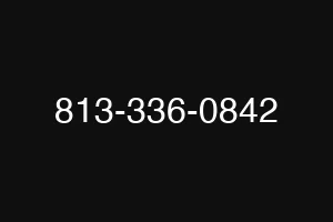 813-336-0842