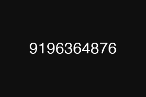 9196364876