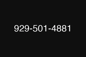 929-501-4881